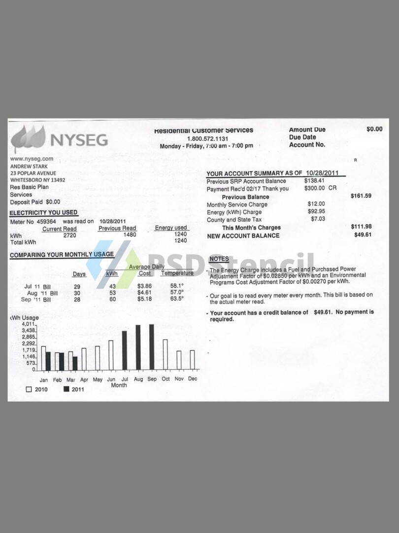 美国USA New York NYSEG Utility Bills水电费账单/KYC地址证明psd模板 | 九流网络-九流网络
