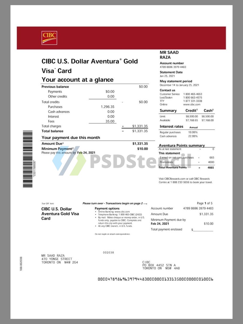 加拿大帝国商业银行CIBC Bank Gold Visa Card Statement银行信用卡账单/KYC地址证明pdf模板-九流网络