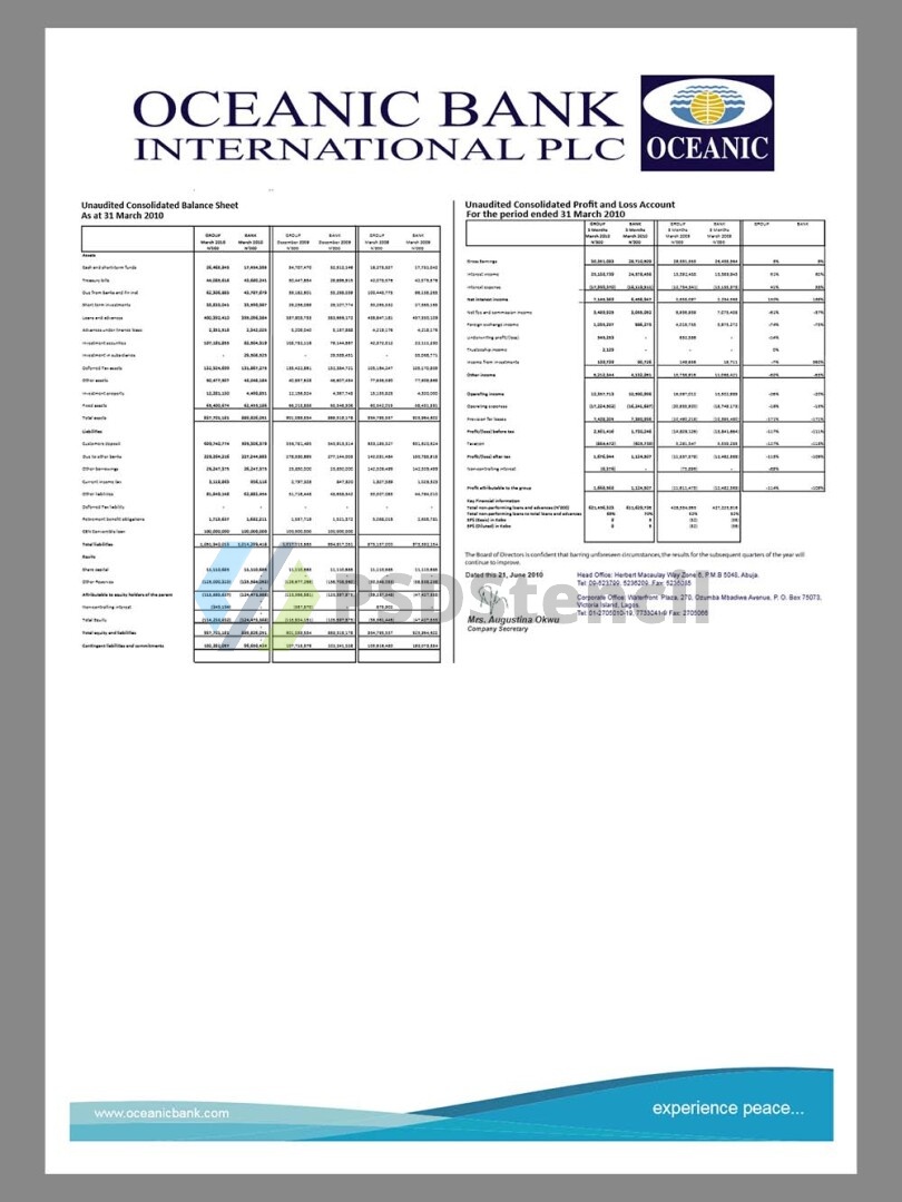 非洲|尼日利亚Nigeria Oceanic Bank International Statement银行账单/KYC地址证明pdf模板 | 九流网络-九流网络