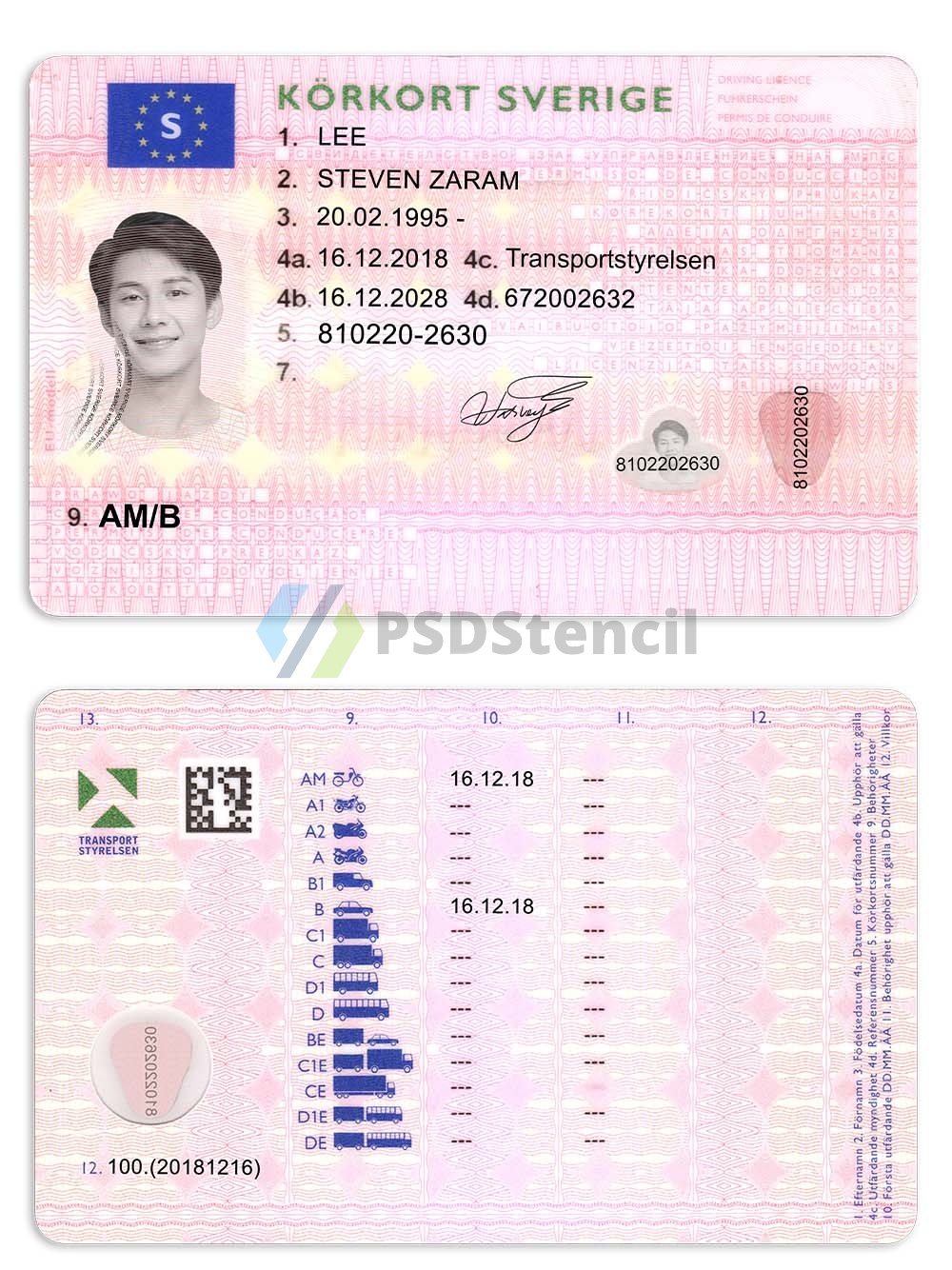 北欧| Sweden DL瑞典驾照/驾驶证PS/PSD模板（V2）-九流网络