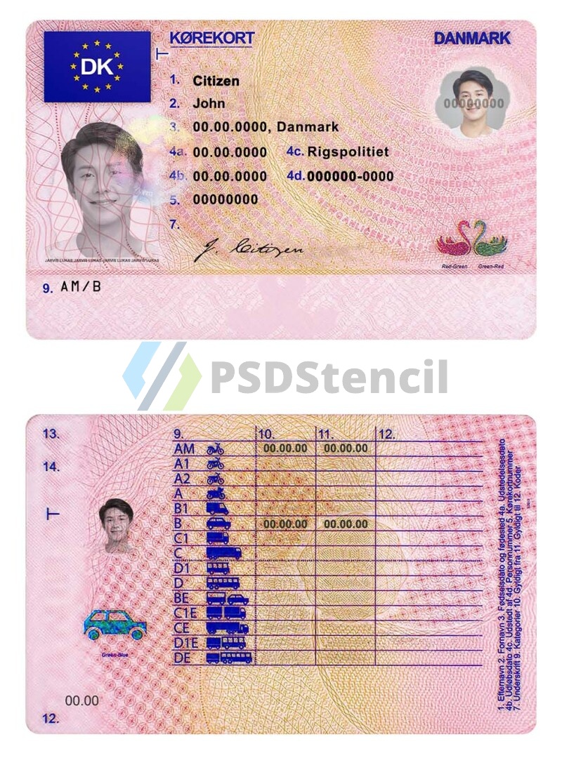 欧盟|Denmark Driving Licence丹麦驾照/驾驶证PSD模板-九流网络