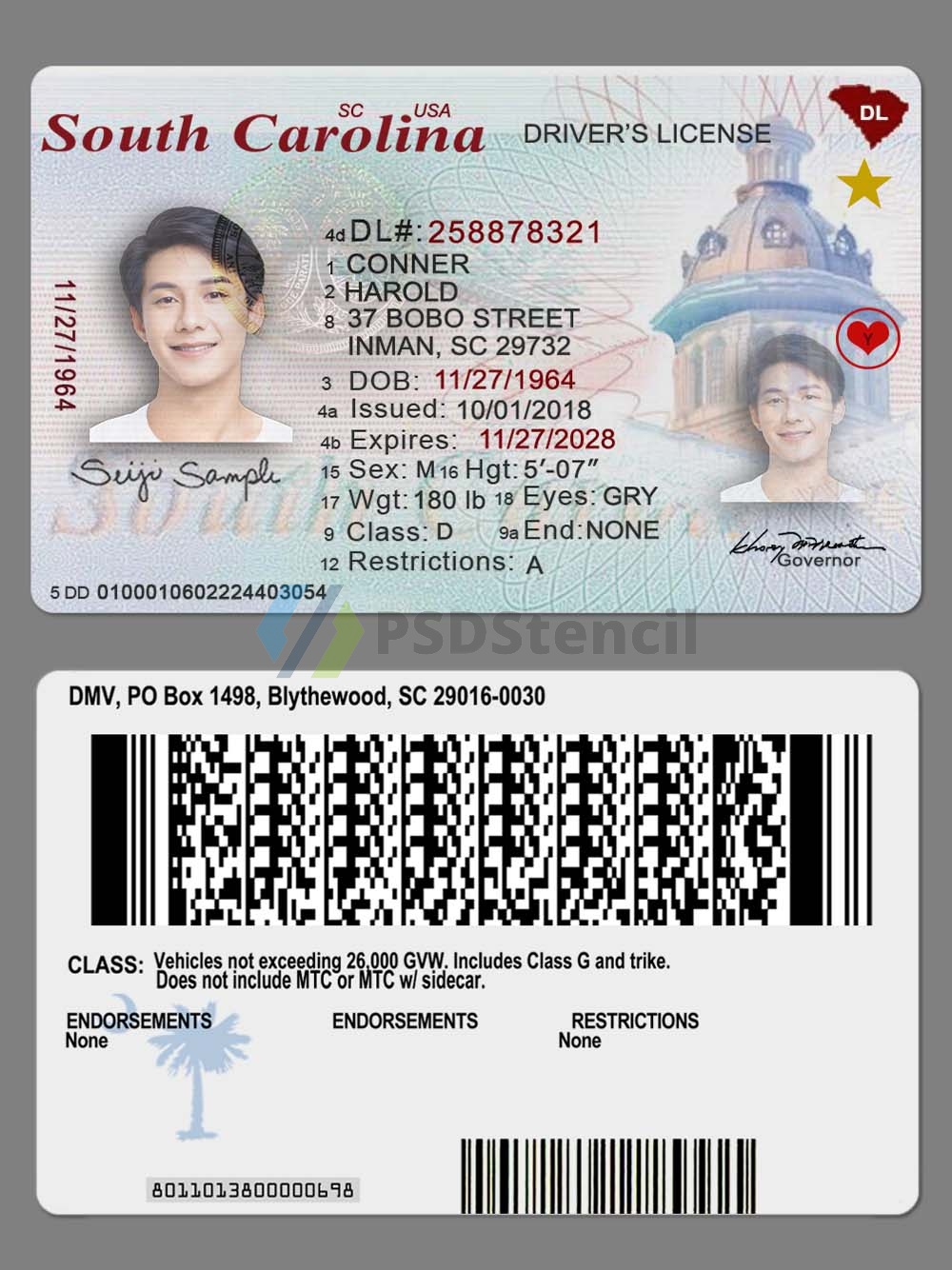 USA South Carolina DL新版美国南卡罗莱纳州驾照PS/PSD模板(V2)-九流网络