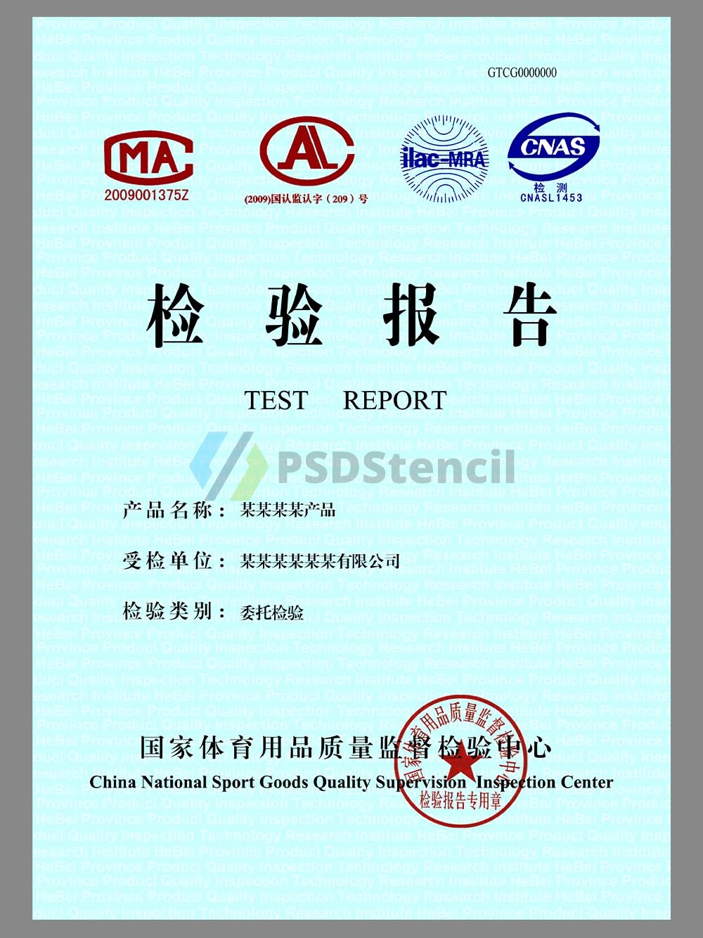 China Sporting Goods Test Report体育用品质量检验报告模板-九流网络
