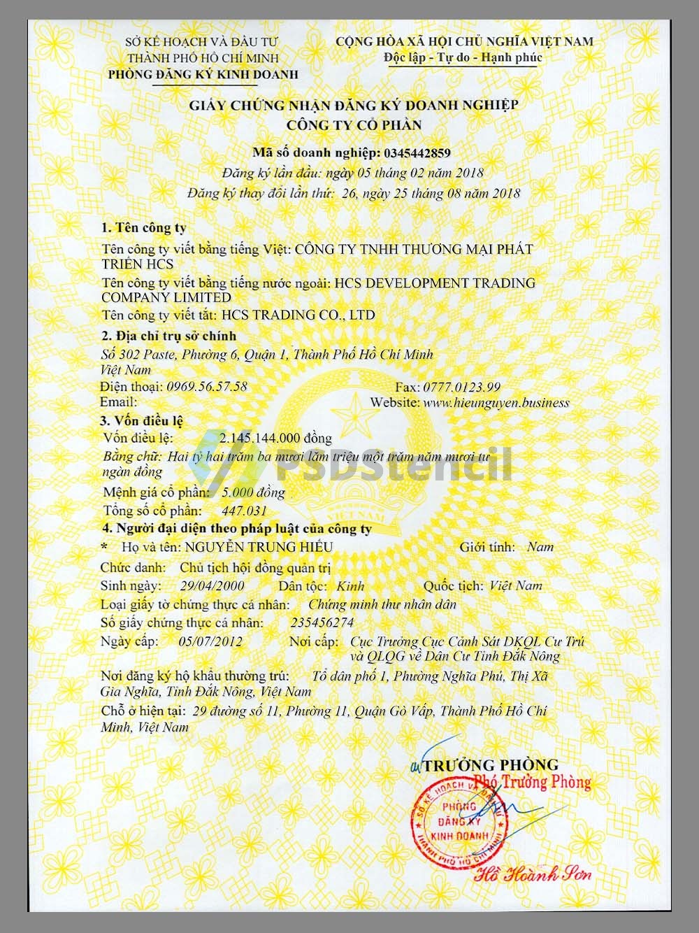Vietnam Company Certificate Template越南公司营业执照PS/PSD模板(高清版)-九流网络