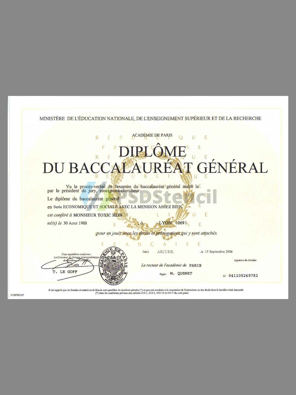 France University Diploma Certificate法国大学学位证书PS/PSD模板(V3)-九流网络